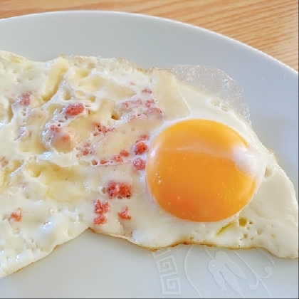 目玉焼きに鮭とチーズが合って美味しかったです(*^-^*)
ご馳走様でした♪