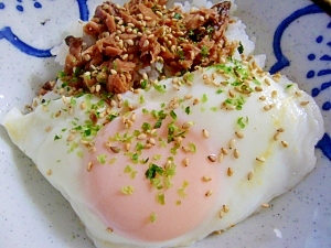 これ一杯で★簡単♪半熟玉子のマグロフレーク丼