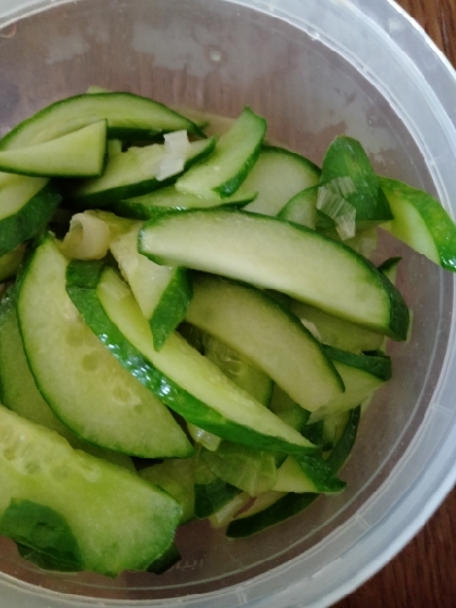 きゅうりとネギの中華炒め