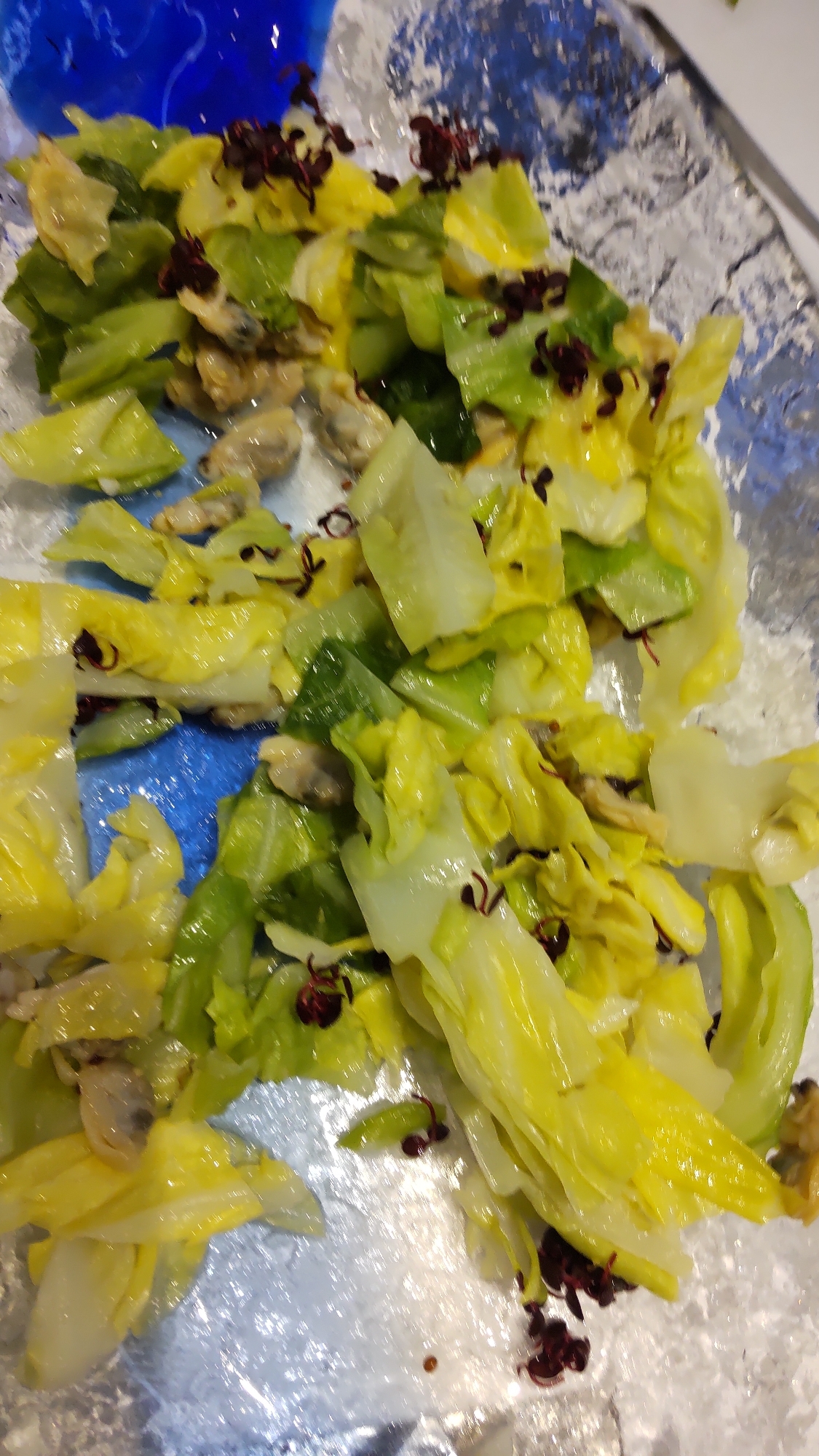 春キャベツとあさりの炒め物
