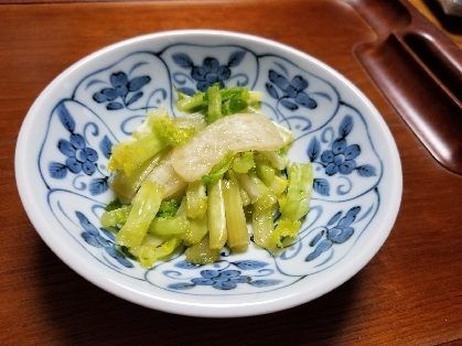 カツオの香りがほんのり
シャキシャキ感は残ったままとっても美味しい一品です
塩ひとつまみ入れとても美味しかったです。
ごちそうさまでした