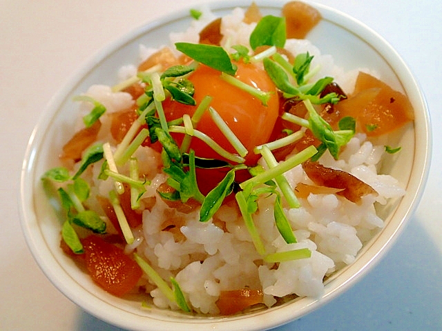 麺つゆで　福神漬けと卵黄と豆苗のご飯