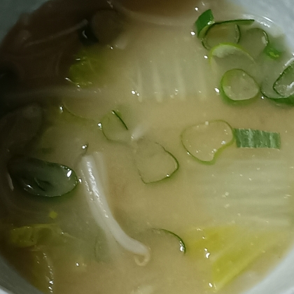 白菜ともやしと小ねぎの味噌汁