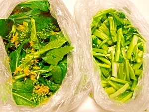 軟らか食べ易く アスパラ菜保存 レシピ 作り方 By ブルーボリジ 楽天レシピ 軟らか食べ易く アスパラ菜保存 レシピ 作り方 By ブルーボリジ 楽天レシピ