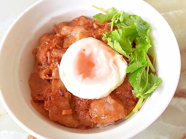 自家製焼き肉たれで！豚バラの簡単焼き肉丼♪