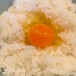 とっとこアキ太郎