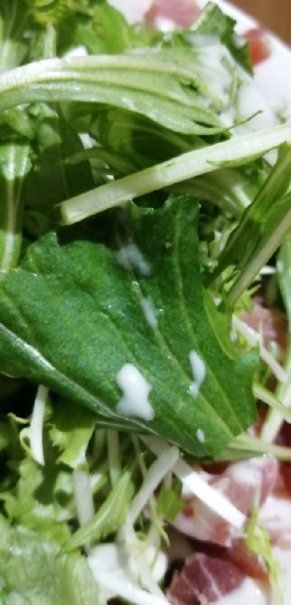 生ハムのせグリーンサラダ
