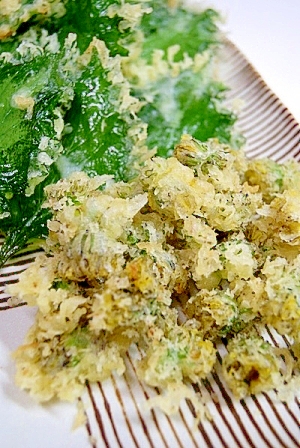 Booのてきとーなレシピ たんぽぽの天ぷら レシピ 作り方 By Poodletamchin 楽天レシピ Booのてきとーなレシピ たんぽぽの天ぷら レシピ 作り方 By Poodletamchin 楽天レシピ