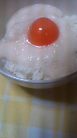 山芋もかかった●●●たまごかけご飯●●●