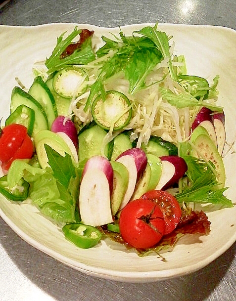 生の茄子と色々野菜サラダ・だし中華ドレッシング☆