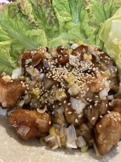 超特急メイン♡ご飯が進む♡鶏もものネギぽん照り焼き