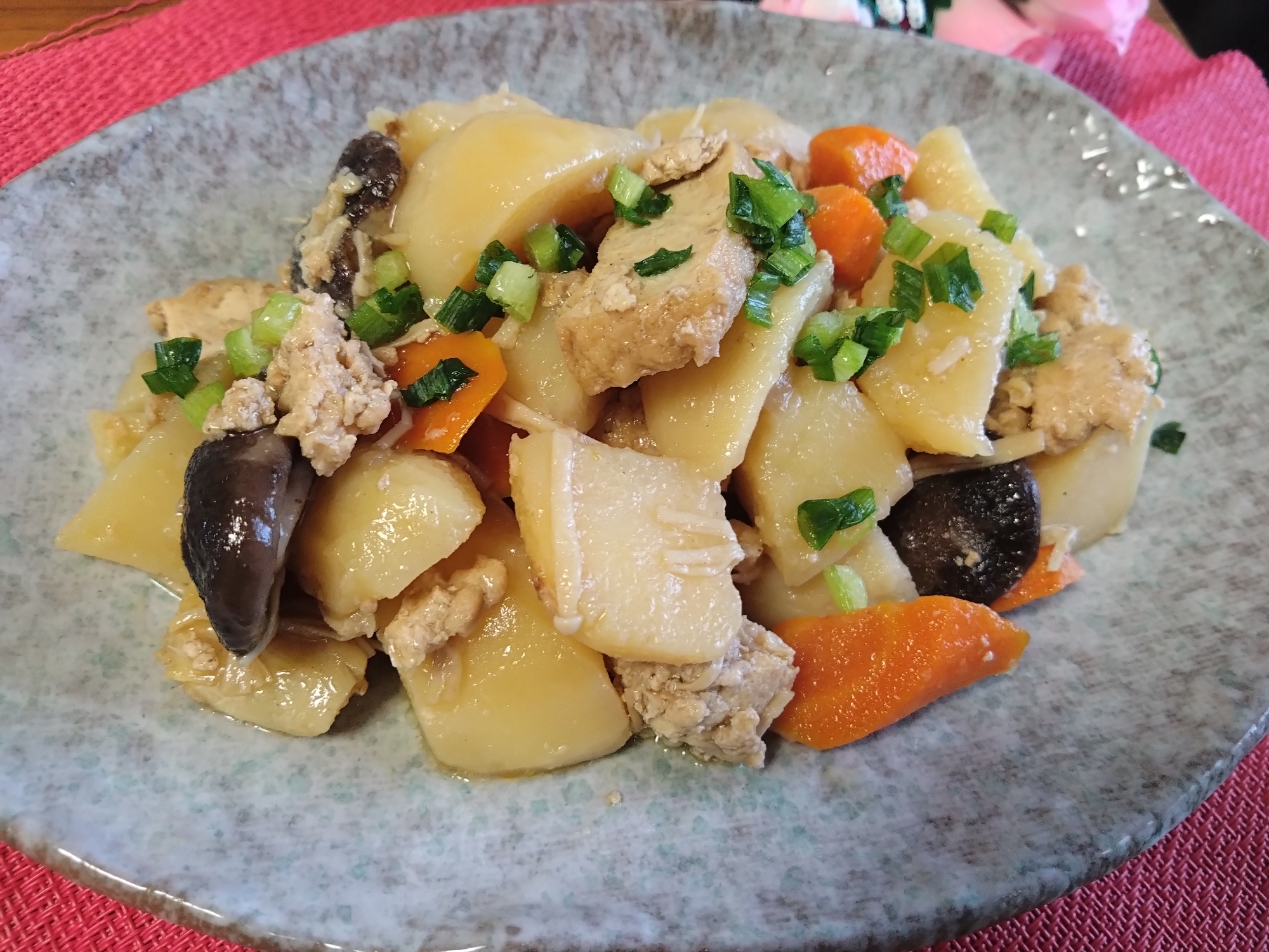 〜じゃがいもと厚揚げの煮物〜