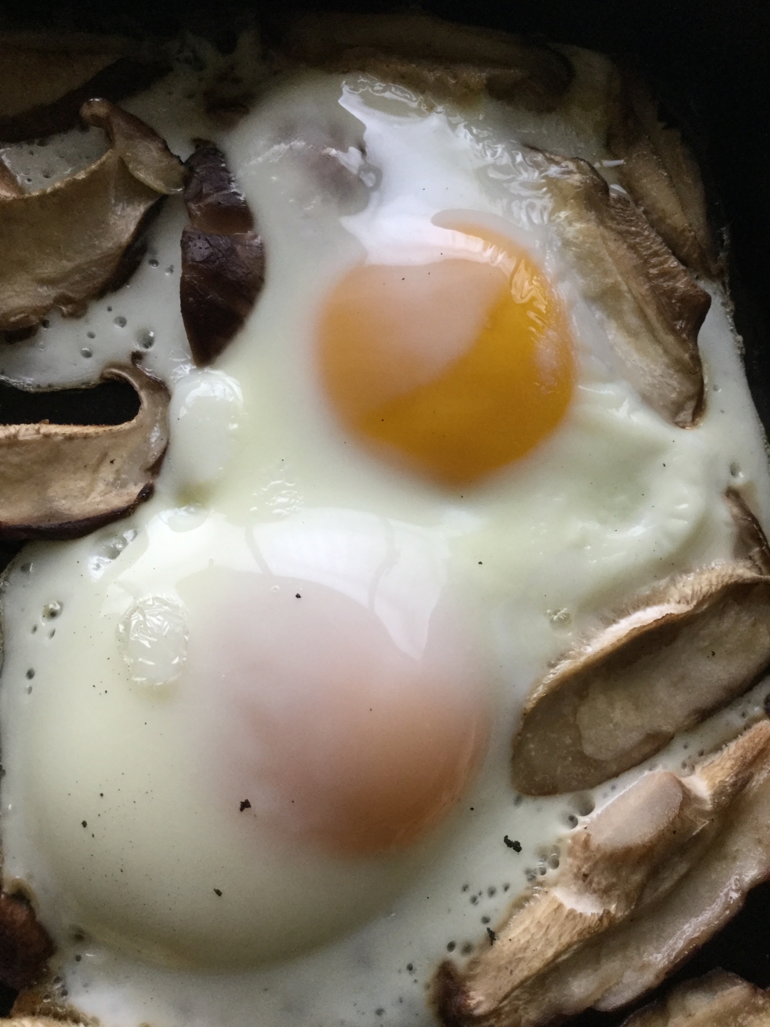 しいたけと目玉焼き