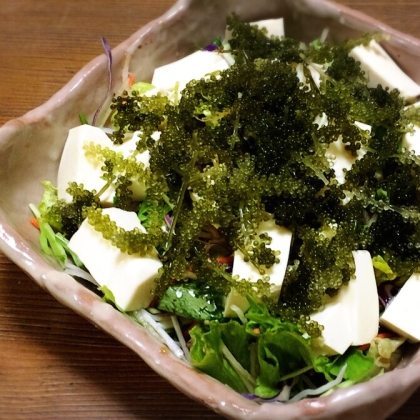 海ぶどうと豆腐のサラダ レシピ 作り方 By Mint74 楽天レシピ