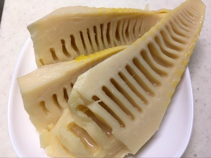 春の贈り物！タケノコの茹で方（アク抜き）