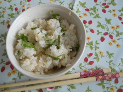 簡単！大葉ご飯