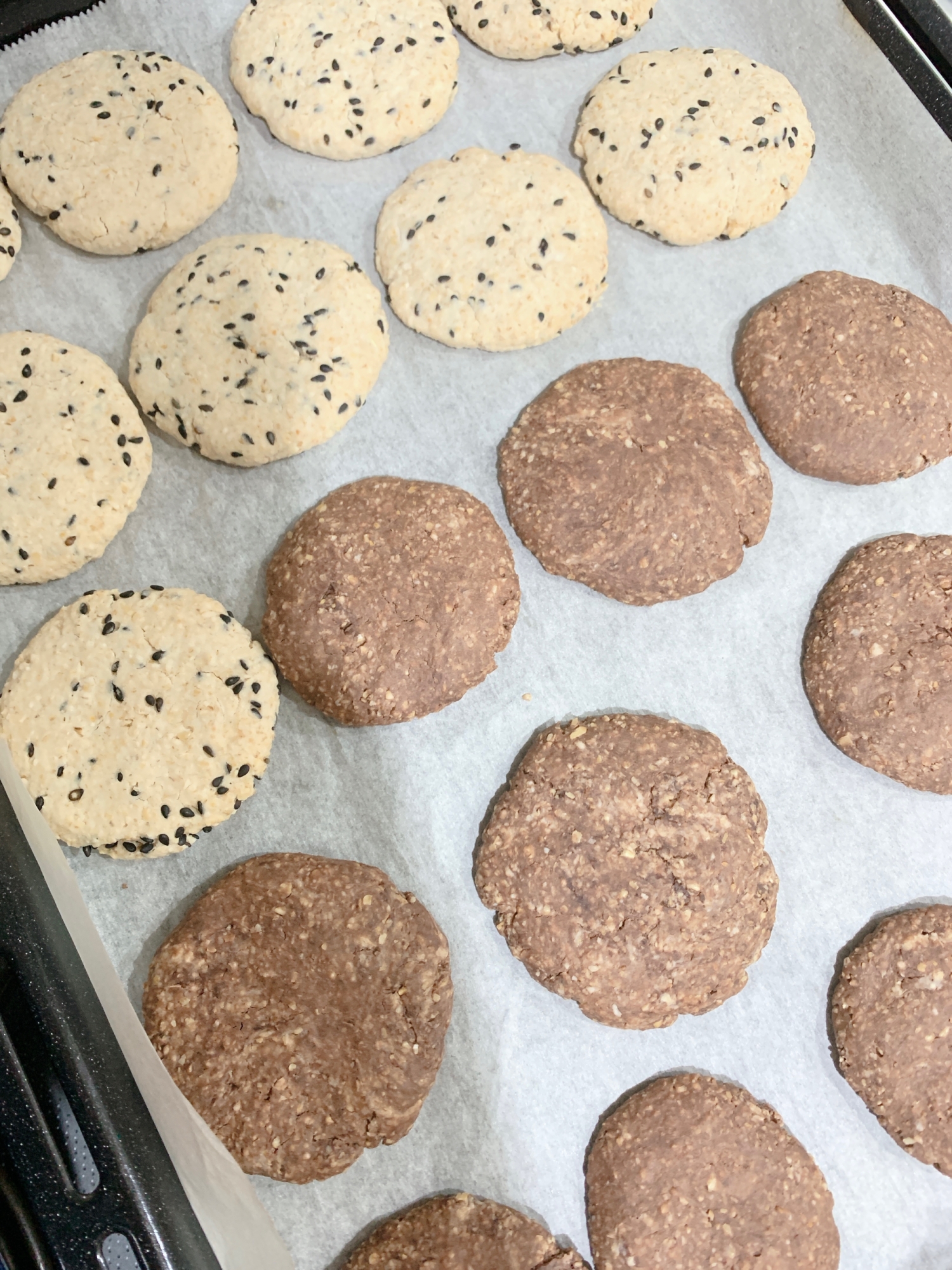 Txt5bt03uxkxom Txt5bt03uxkxom