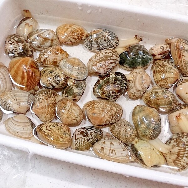 あさりの砂抜き レシピ 作り方 By Hideok8 楽天レシピ あさりの砂抜き レシピ 作り方 By Hideok8 楽天レシピ