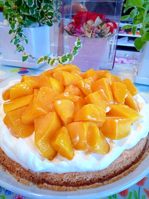 マンゴーのタルト レシピ 作り方 By 帰って来たvan 楽天レシピ マンゴーのタルト レシピ 作り方 By 帰って来たvan 楽天レシピ