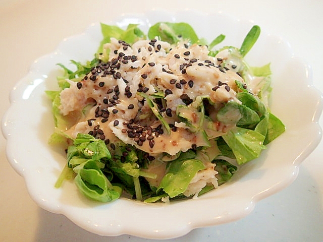 ごまわさびドレで　サラダ菜と豆苗とチキンのサラダ