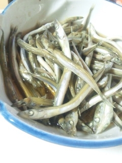いわしの稚魚レシピ 作り方の人気順 簡単料理の楽天レシピ いわしの稚魚レシピ 作り方の人気順 簡単料理の楽天レシピ