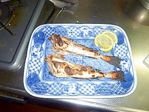 塩麹deカナガシラの塩焼き レシピ 作り方 By Tententen48 楽天レシピ 塩麹deカナガシラの塩焼き レシピ 作り方 By Tententen48 楽天レシピ