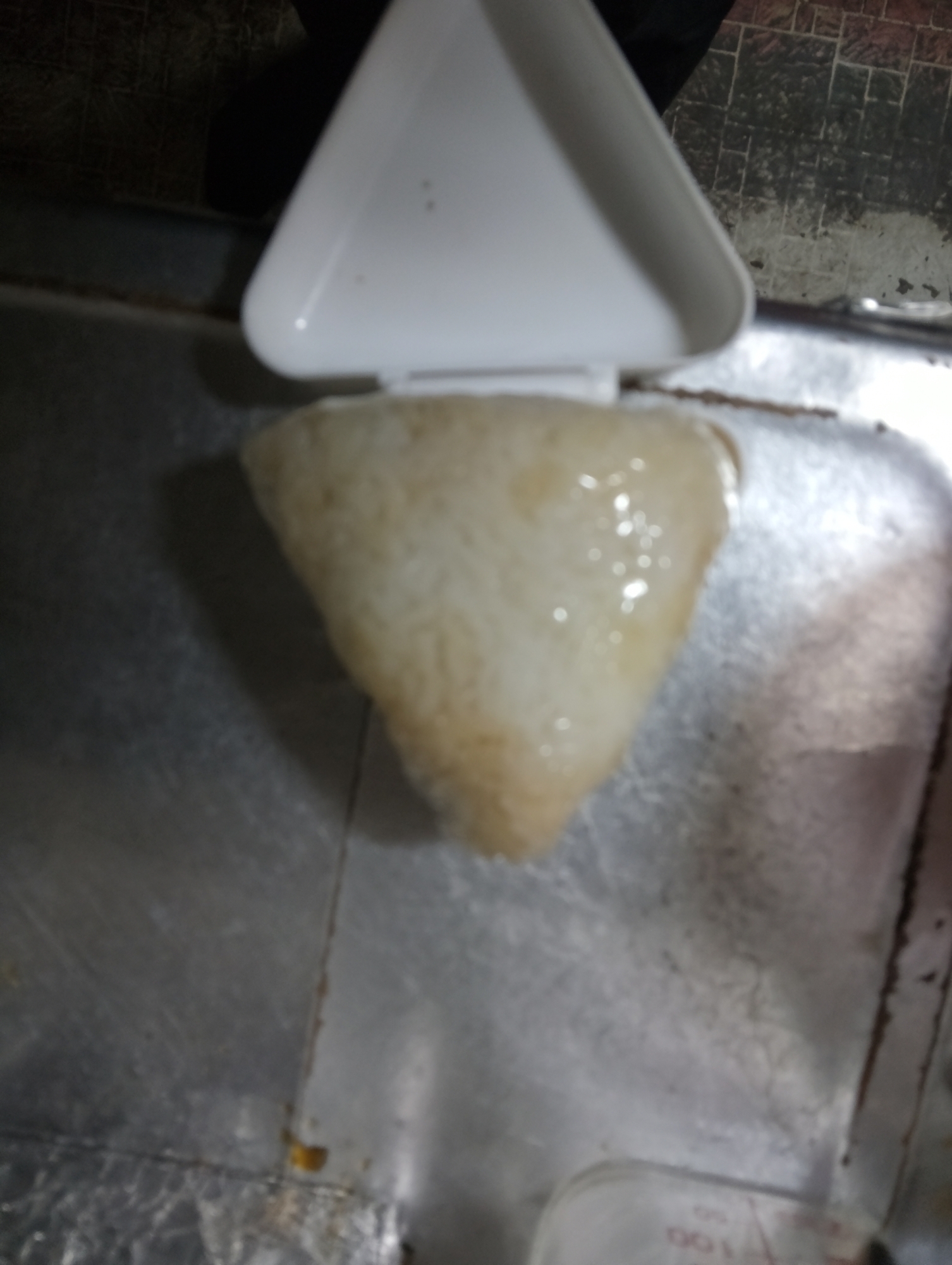 鴨ネギおにぎり