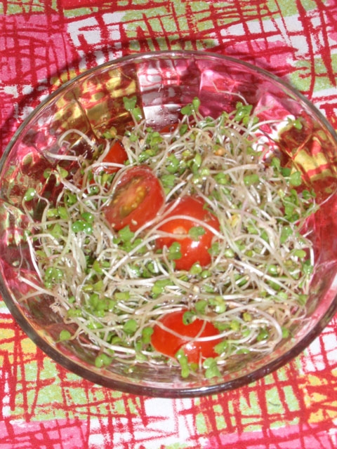 ブロッコリースプラウトのヴィネガーサラダ