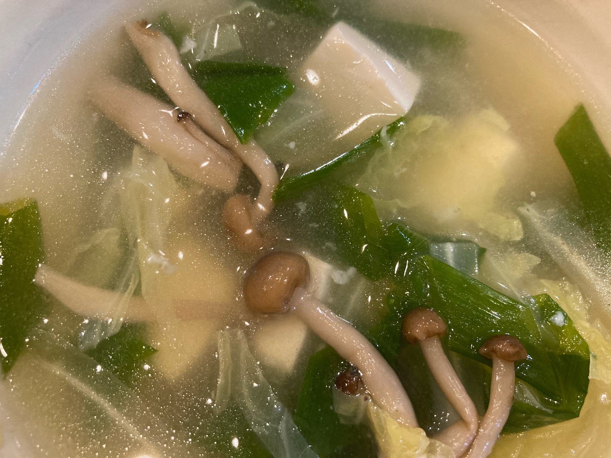 白菜とねぎとしめじと豆腐のスープ