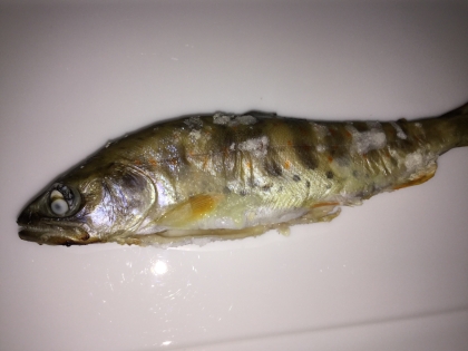 サクサク ヤマメの塩焼き レシピ 作り方 By とりあえず乾杯 楽天レシピ サクサク ヤマメの塩焼き レシピ 作り方 By とりあえず乾杯 楽天レシピ