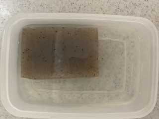 こんにゃくが余ったので参考にさせていただきました♪