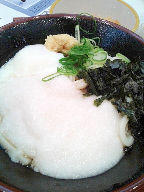 冷やしとろろうどん レシピ 作り方 By Yukkiy8 楽天レシピ 冷やしとろろうどん レシピ 作り方 By Yukkiy8 楽天レシピ