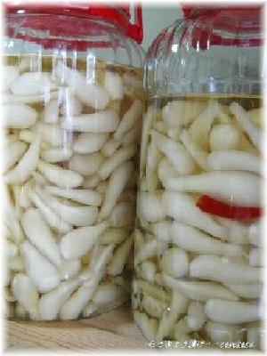 お酢で旨みｕｐ らっきょうの甘酢漬け レシピ 作り方 By はなまる子 楽天レシピ