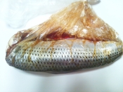 コノシロの酢漬け レシピ 作り方 By おおら 楽天レシピ コノシロの酢漬け レシピ 作り方 By おおら 楽天レシピ