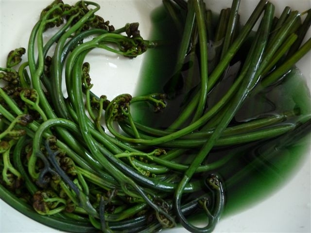 わらびのあく抜き レシピ 作り方 By もっちんママ 楽天レシピ わらびのあく抜き レシピ 作り方 By もっちんママ 楽天レシピ