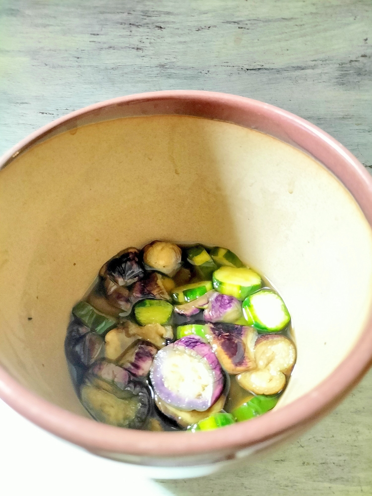 菜漬器　「浅漬け名人」未使用品 浅漬け名人（茶）（菜漬器）（漬物レシピ本付き） 【公式通販】