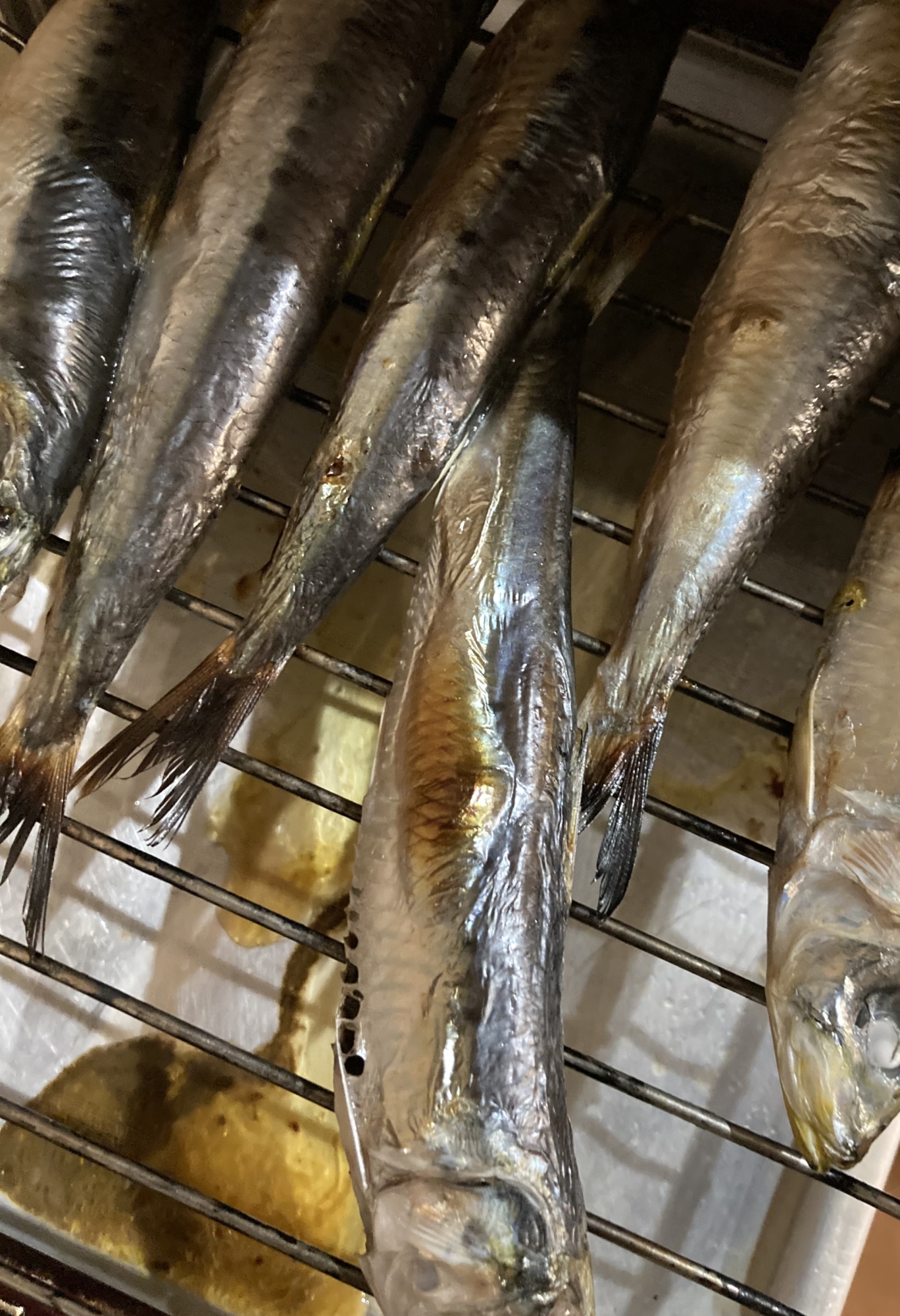 うるめいわしの塩焼き レシピ 作り方 By のこ311 楽天レシピ うるめいわしの塩焼き レシピ 作り方 By のこ311 楽天レシピ