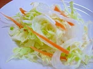 春キャベツ・新玉ねぎ・にんじんの生野菜サラダ♪ レシピ・作り方 by