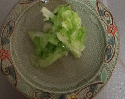 レタス大量消費！無限レタス