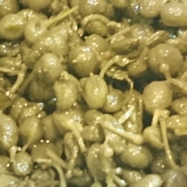 実山椒の佃煮 レシピ 作り方 By おっさん5593 楽天レシピ 実山椒の佃煮 レシピ 作り方 By おっさん5593 楽天レシピ