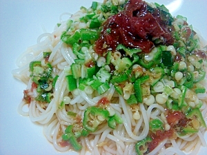 夏バテなんてしないぞ！梅オクラ素麺✿