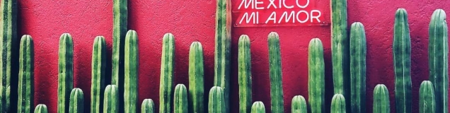 Cocinera
