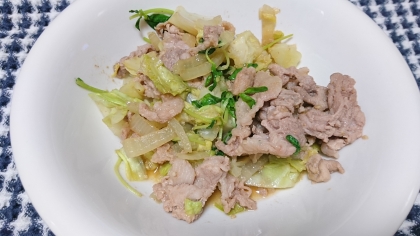 簡単肉野菜炒め