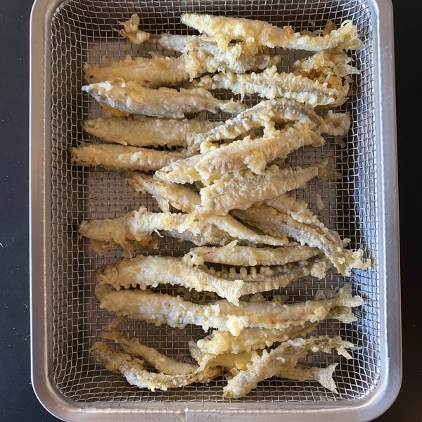 Ugjwpriqe Ciqm Ugjwpriqe Ciqm