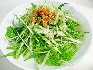 フライドオニオンと水菜のサラダ