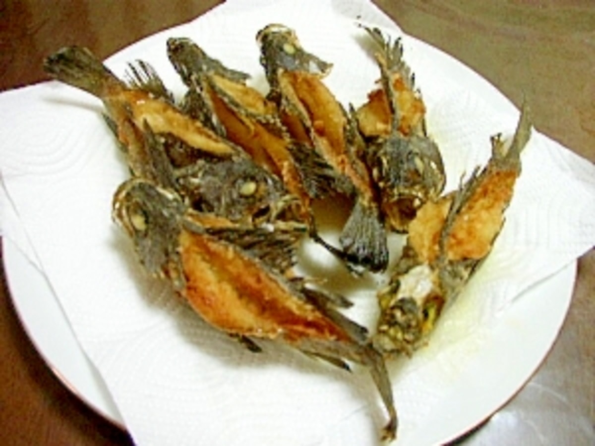全部食べられるカサゴとメバルの唐揚げ レシピ 作り方 By よりすぐり 楽天レシピ 全部食べられるカサゴとメバルの唐揚げ レシピ 作り方 By よりすぐり 楽天レシピ
