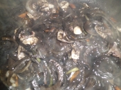 新鮮なイカで イカ墨スパゲティ レシピ 作り方 By Yumi1522 楽天レシピ