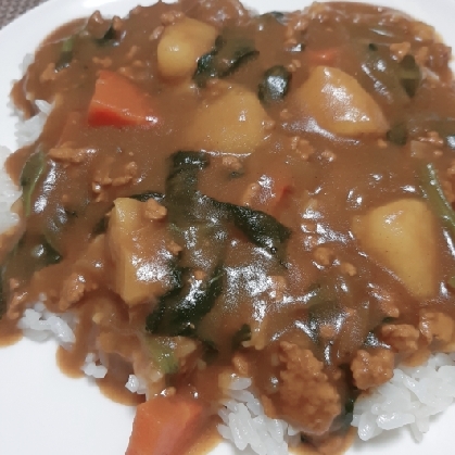 ほうれん草入りカレー