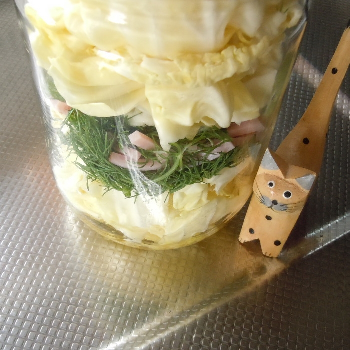 フェンネル香る 簡単キャベツのジャーサラダ レシピ 作り方 By 紫君子蘭 楽天レシピ フェンネル香る 簡単キャベツのジャーサラダ レシピ 作り方 By 紫君子蘭 楽天レシピ