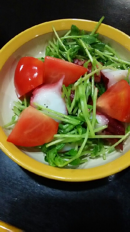 チョッキングde時短♪タコと豆苗・水菜のサラダ